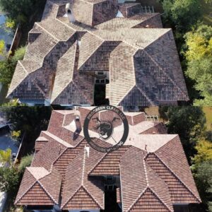 Roof Cleaning