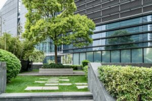 Office landscaping San Antonio