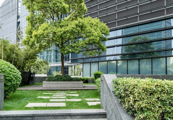 Office landscaping San Antonio