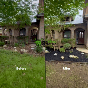 Landscaping transformation