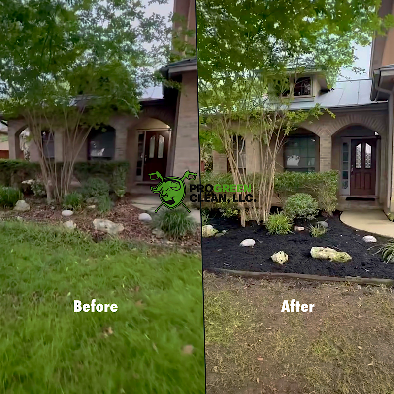 Landscaping transformation 
